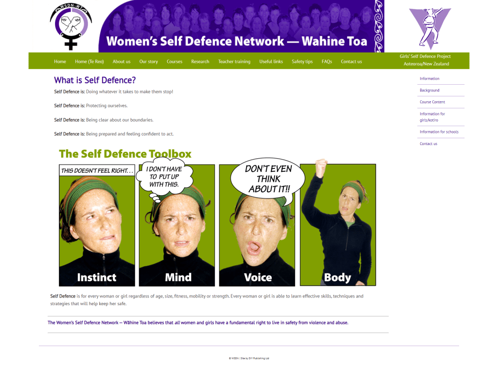 screenshot of original wsdn.org.nz website