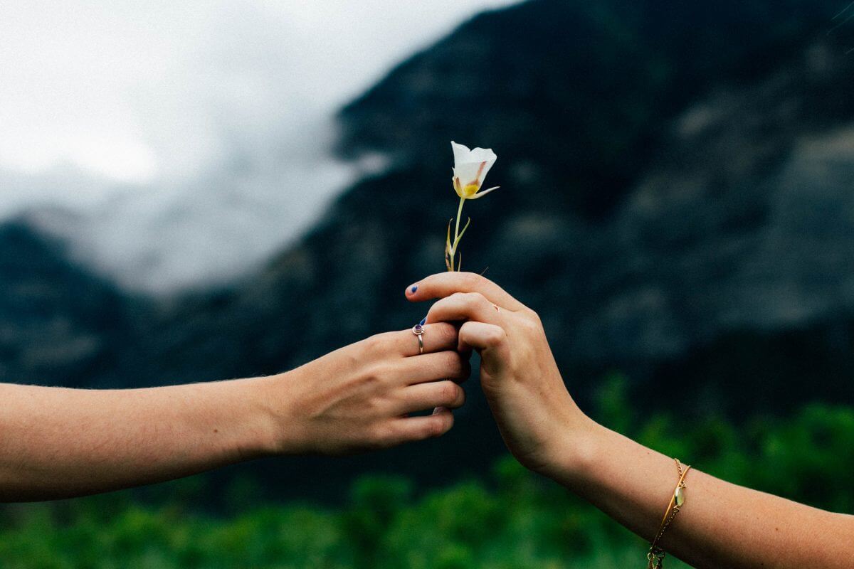A largely decorative image of a hand handing a small flower to another hand. The out of focus background features some kind of outside scene