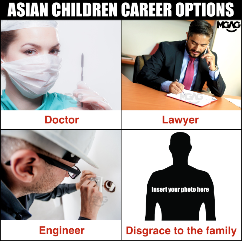 Meme image, the header says "Asian children career options" and the four squares depict a doctor, a lawyer, an engineer and a black silhouette entitled Disgrace to the family