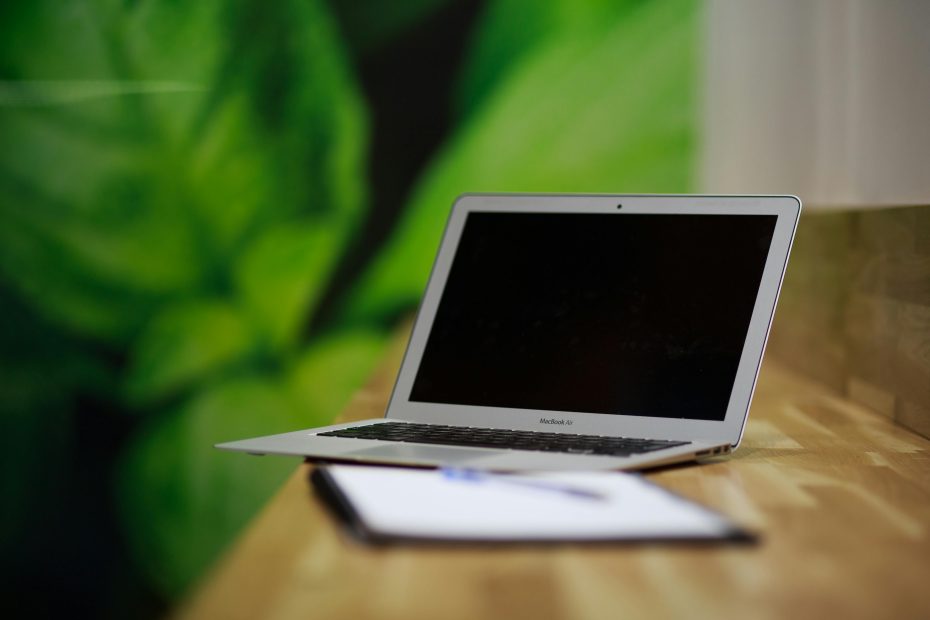 Largely decorative image of a laptop on a desk with some leaves in the background
