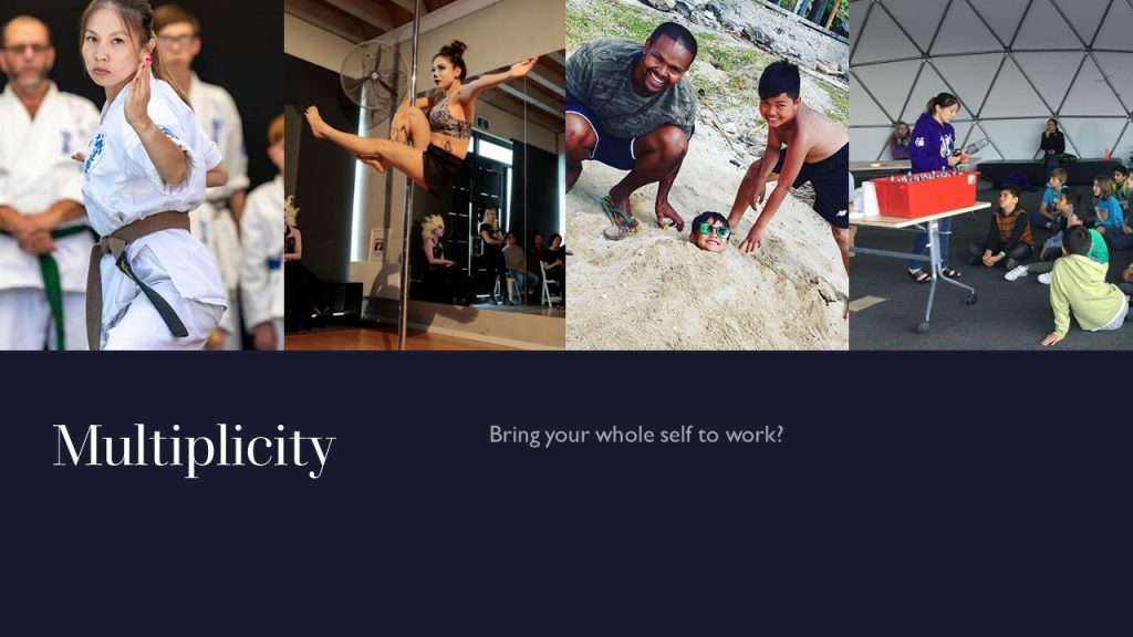 Slide from my presentation - entitled "Multiplicity - bring your whole self to work?" 